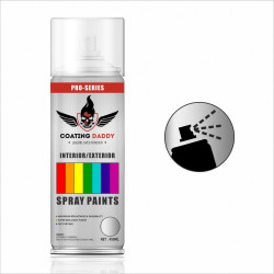 Flash  Silver Flash  Silver